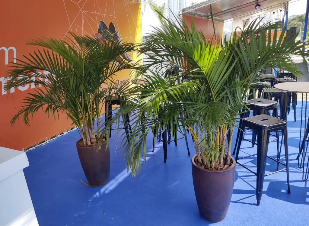 Florência Paisagismo - Plantas e Insumos para Jardinagem e Locação de Plantas para Eventos - Vega Assessoria